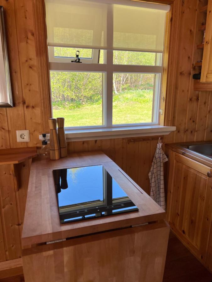 Summerhouse Vaglaskogur Akureyri Luaran gambar