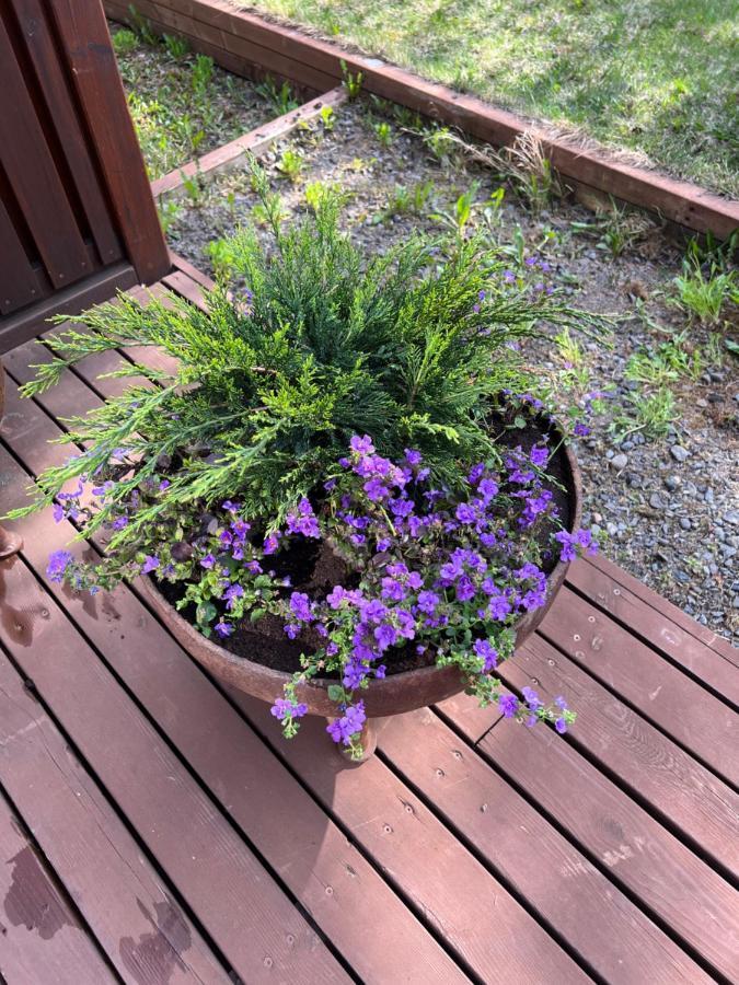 Summerhouse Vaglaskogur Akureyri Luaran gambar
