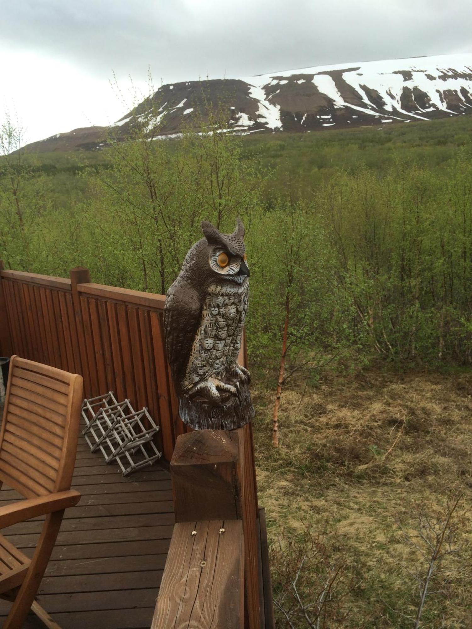 Summerhouse Vaglaskogur Akureyri Luaran gambar